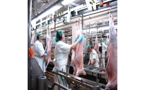 食品加工廚余真空收集系統